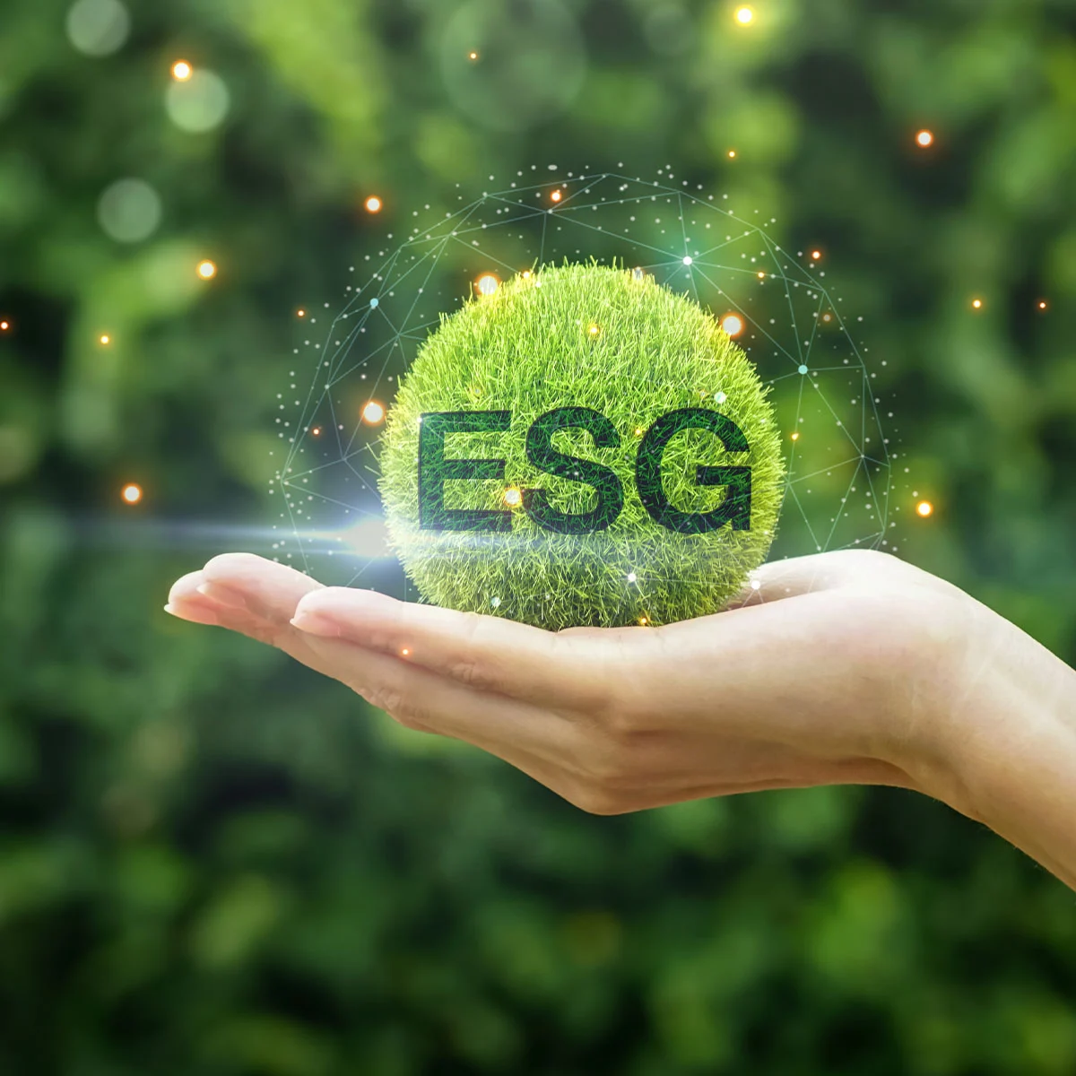 Governance, ESG and CSR Advisory